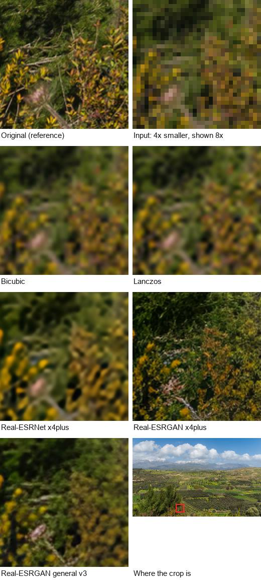 Crops of the same region of the Mount Ida, Crete photo: the original, the 4x-reduced input, and the outputs of bicubic, Lanczos, Real-ESRNet x4plus, Real-ESRGAN x4plus and Real-ESRGAN general v3