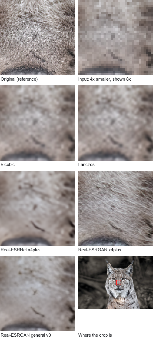 Crops of the same region of the lynx photo: the original, the 4x-reduced input, and the outputs of bicubic, Lanczos, Real-ESRNet x4plus, Real-ESRGAN x4plus and Real-ESRGAN general v3
