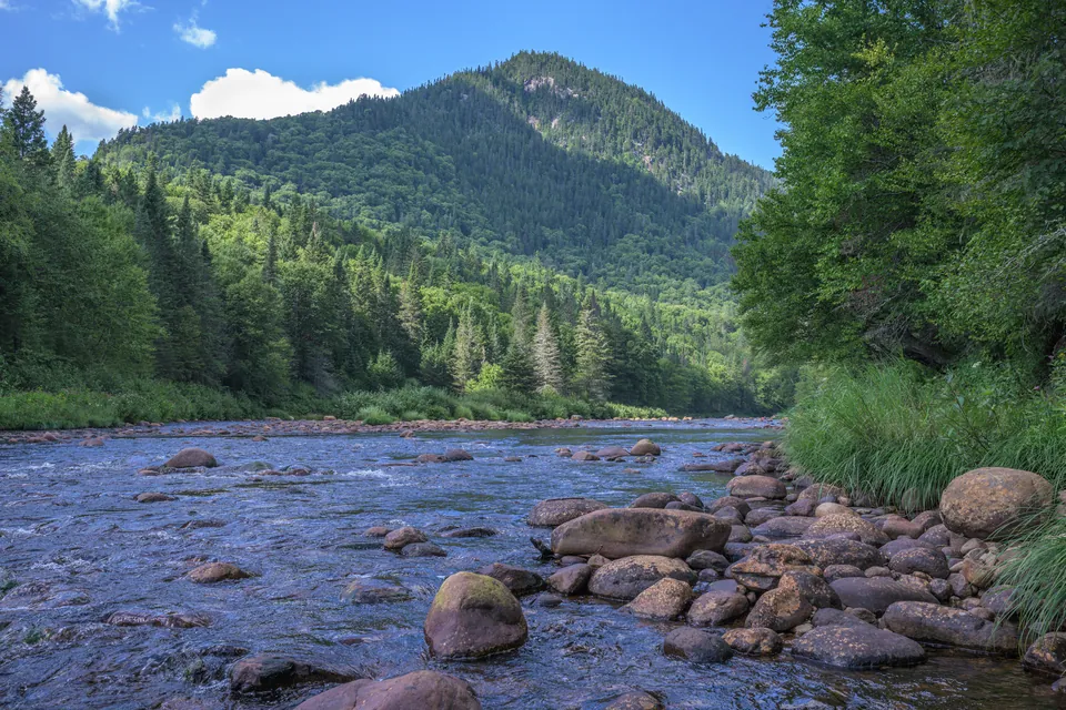 A rocky river running through a green valley toward a forested mountain under a blue sky